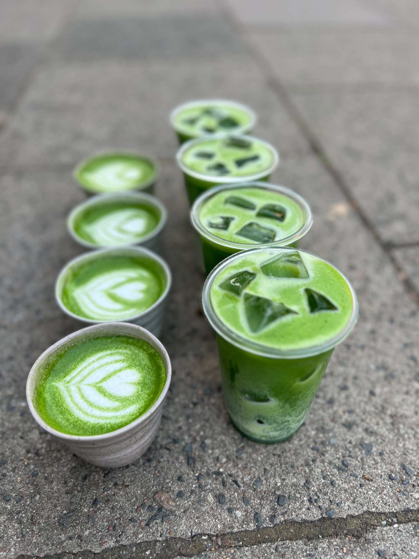 Matcha Tasting